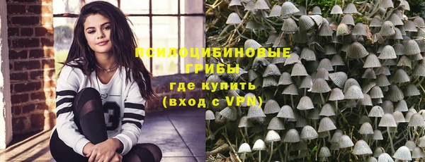 гидра Новокубанск