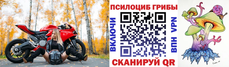 OMG ТОР  Нягань  Псилоцибиновые грибы мухоморы 