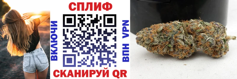 где найти   Нягань  Конопля планчик 